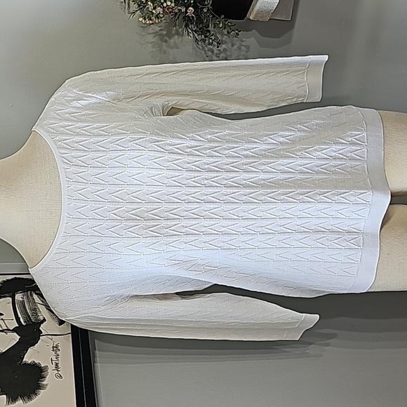 TALBOTS NWT, White pop Over, and Sweater size Petite small. Staple to wardrobe. - Picture 1 of 13